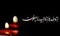 رئیس پردیس دانشگاه با صدور پیامی، درگذشت خواهردکترمهدوی، رئیس اورژانس را تسلیت گفت.